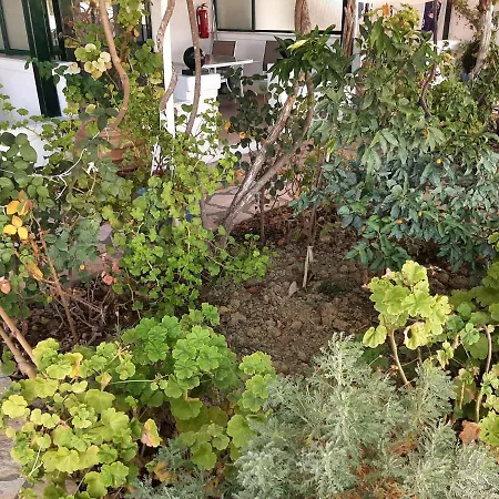 Апартаменты In With Sea Views & Pool Бенитсес